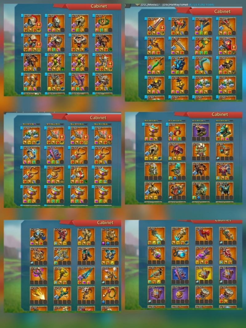 Foto 5