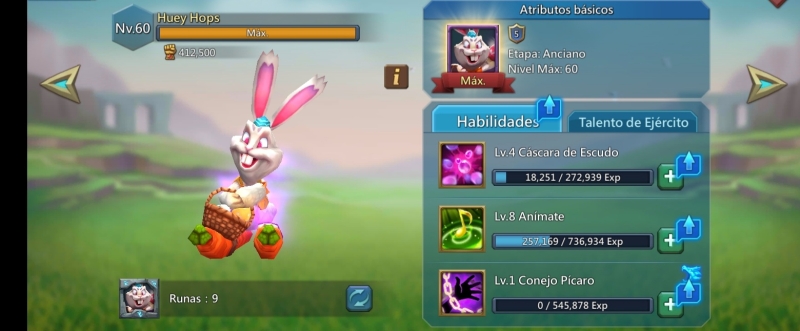 T5 Filler y Wonder 2